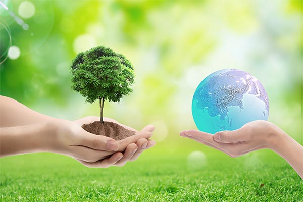 既然青春留不住，不如一起種棵樹——恒源昊榆林分公司“世界地球日”主題公益活動